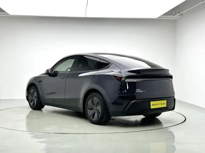 Model Y 2025 Model Rear-wheel drive version – фото 5