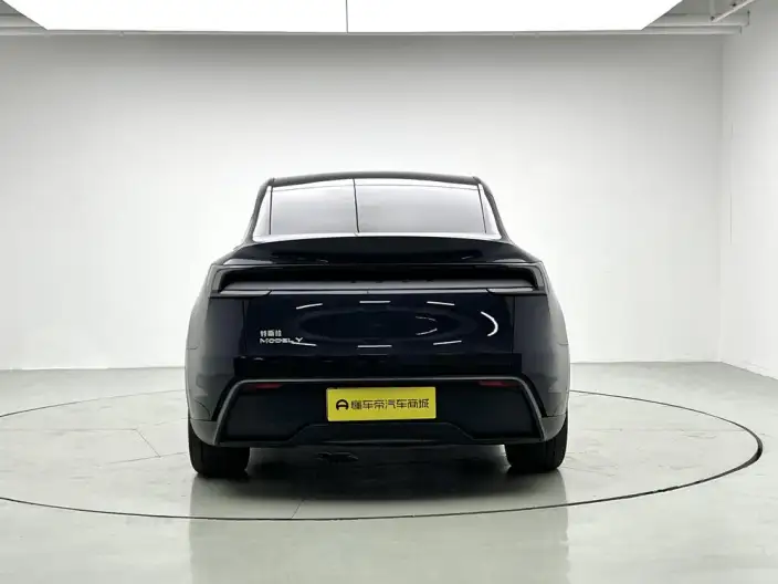 Model Y 2025 Model Rear-wheel drive version – фото 6