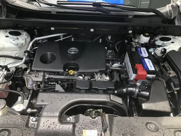 Toyota Wildlander 2020 Model 2.0L 4WD Deluxe Edition – фото 6