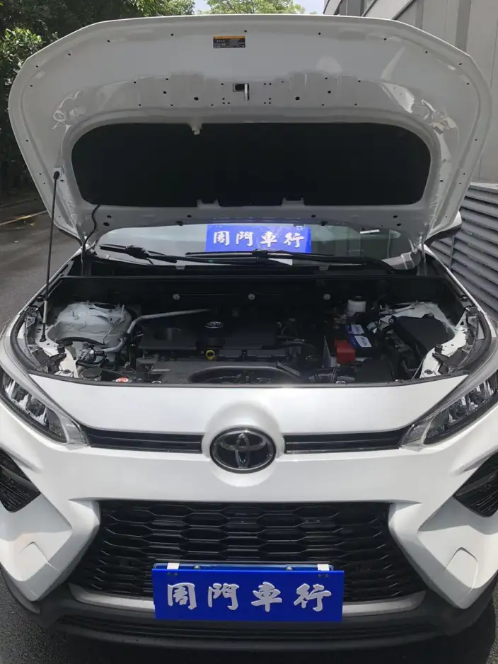 Toyota Wildlander 2020 Model 2.0L 4WD Deluxe Edition – фото 10