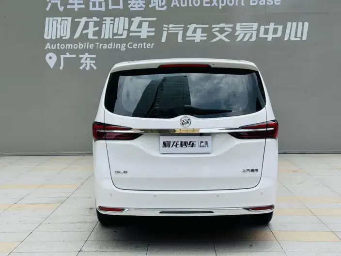 Buick GL8 2023 Model Business class 2.0T Comfort Model – фото 4