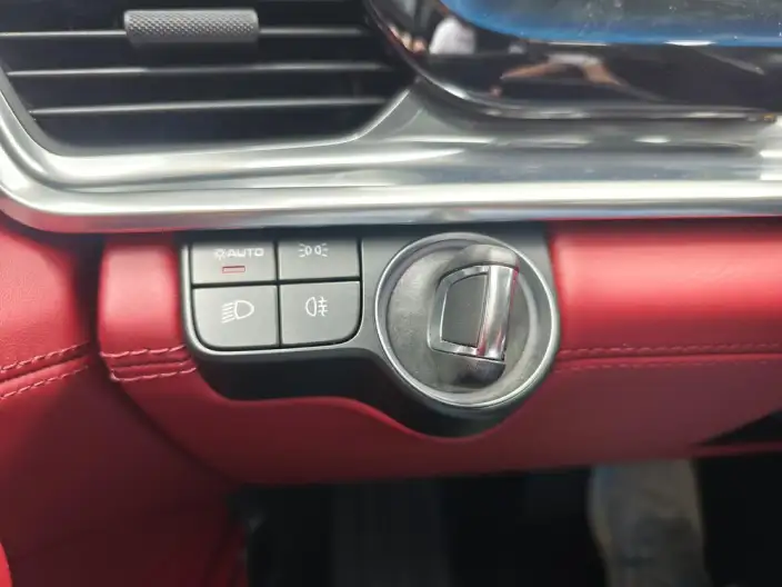 Panamera 2022 Model Panamera Executive Extended Edition 2.9T – фото 8
