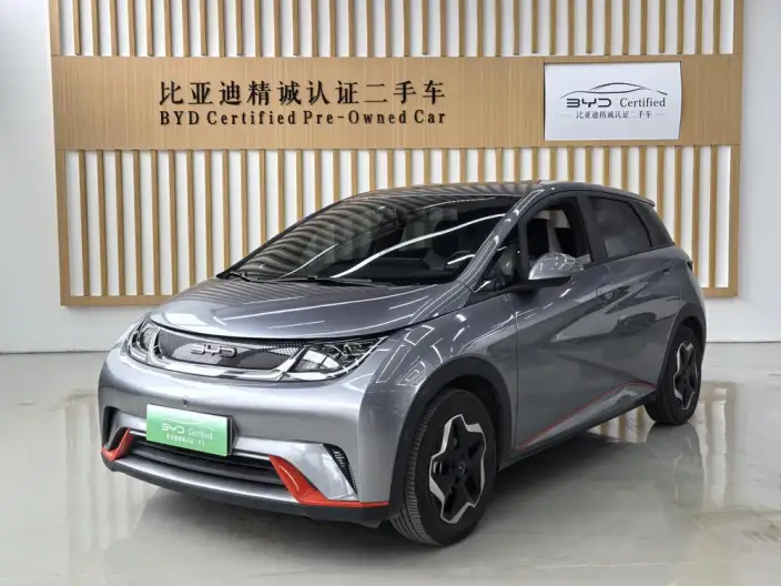 BYD Dolphin 2021 Model Free Edition – фото 1
