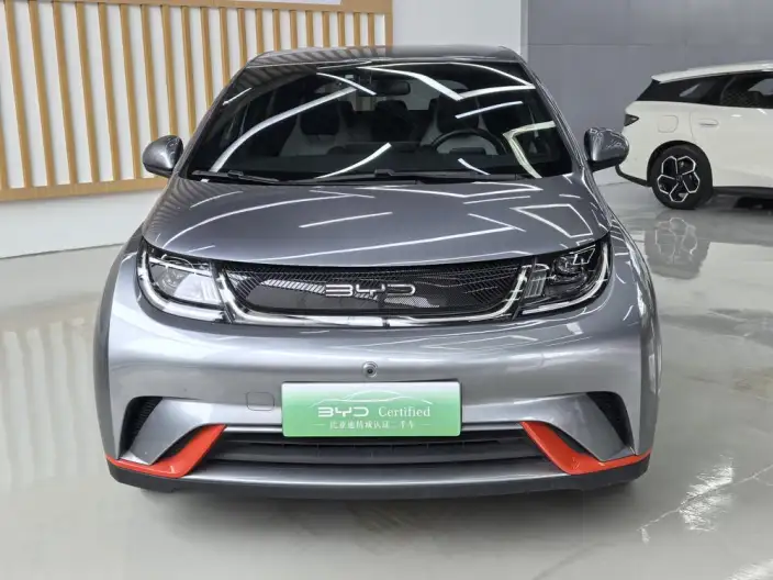 BYD Dolphin 2021 Model Free Edition – фото 2