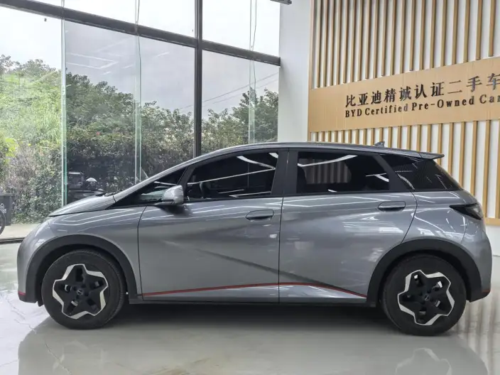 BYD Dolphin 2021 Model Free Edition – фото 3