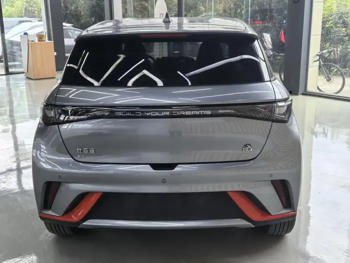 BYD Dolphin 2021 Model Free Edition – фото 4