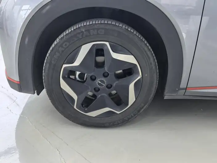 BYD Dolphin 2021 Model Free Edition – фото 9