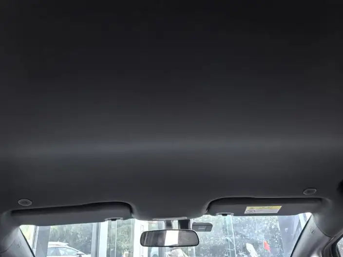 BYD Dolphin 2021 Model Free Edition – фото 10