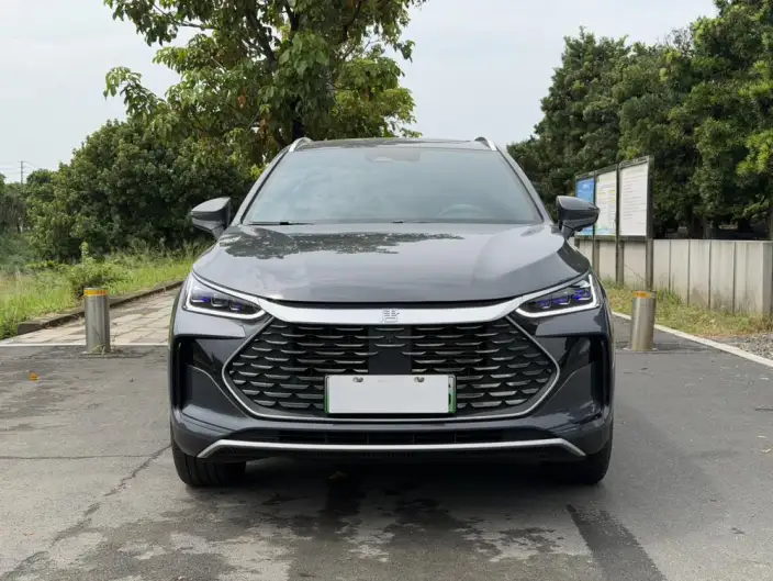 BYD Tang DM 2024 Model Honor Edition DM-i 112KM Zunrong Model – фото 2