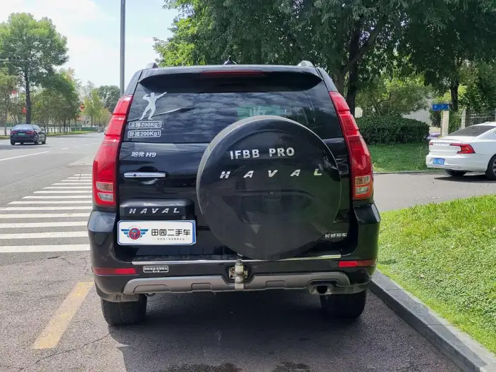 Haval H9 2020 Model 2.0T Petrol 4WD Luxury Model 7 seat – фото 5