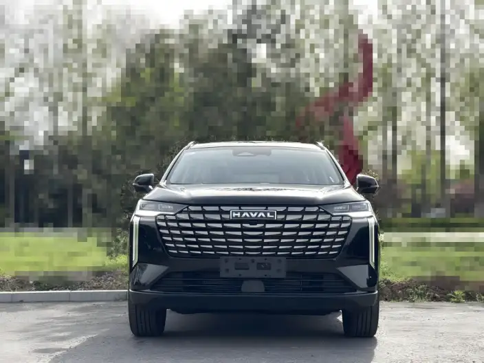 Haval H6 2024 Model 1.5T Automatic 2WD Pro Edition