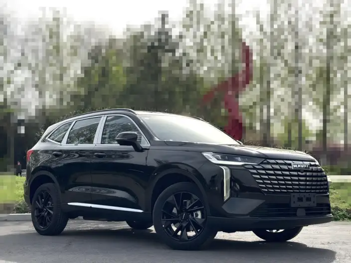 Haval H6 2024 Model 1.5T Automatic 2WD Pro Edition