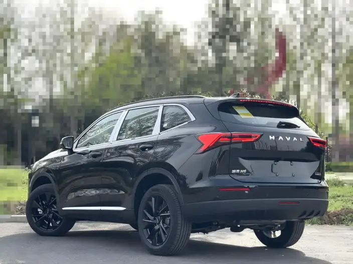 Haval H6 2024 Model 1.5T Automatic 2WD Pro Edition