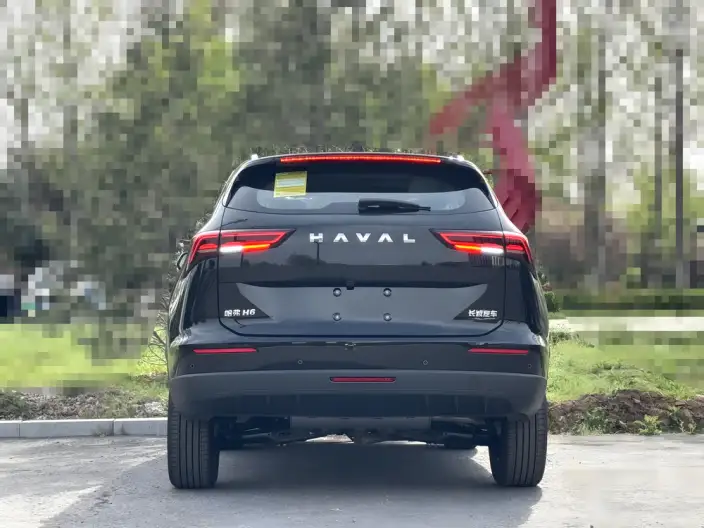 Haval H6 2024 Model 1.5T Automatic 2WD Pro Edition – фото 5