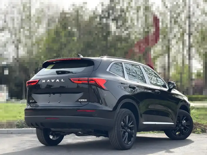 Haval H6 2024 Model 1.5T Automatic 2WD Pro Edition – фото 6