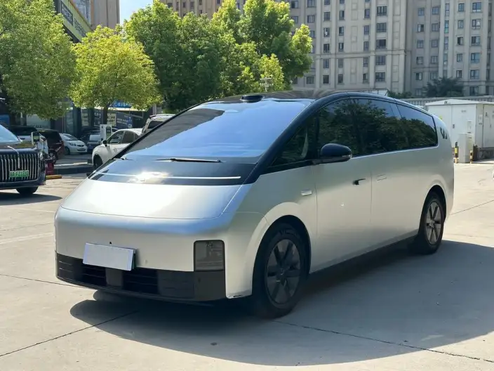 Li Auto MEGA 2025 Model Home Family Special Edition – фото 1