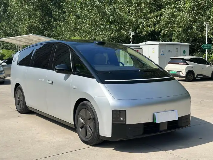Li Auto MEGA 2025 Model Home Family Special Edition – фото 3