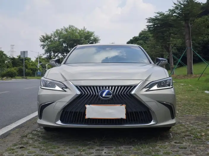 Lexus ES 2020 Model 300h Superior Edition China VI – фото 2