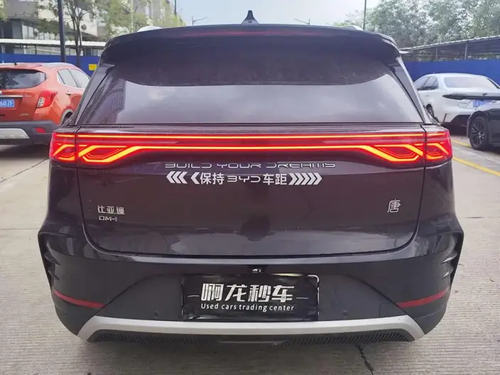 BYD Tang DM 2025 Model DM-i 115KM Flagship Model – фото 4
