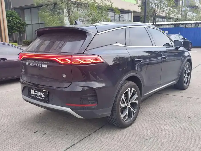 BYD Tang DM 2025 Model DM-i 115KM Flagship Model – фото 5