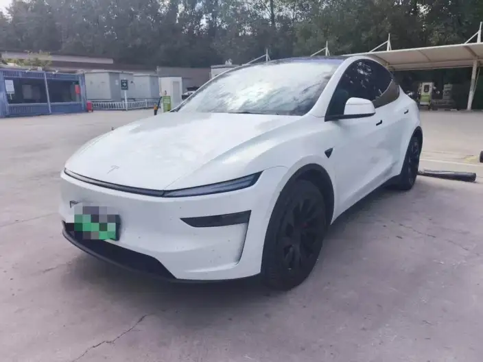 Model Y 2025 Model Facelift Long Battery Life Pro All-wheel drive version – фото 10