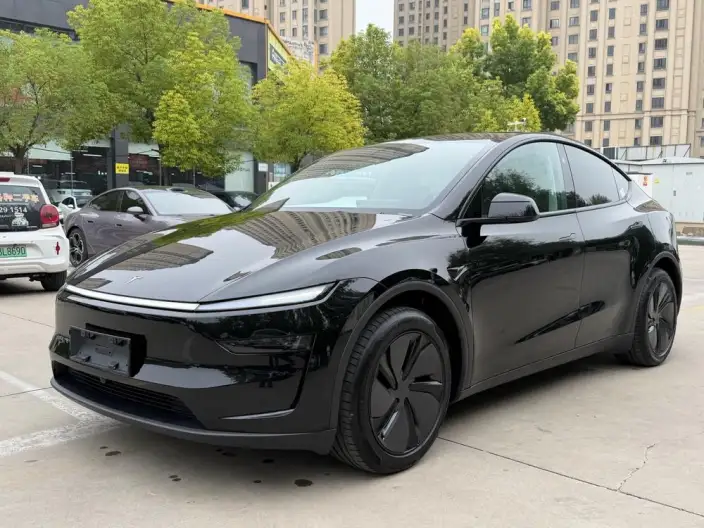 Model Y 2025 Model Long Battery Life Pro All-wheel drive version – фото 1
