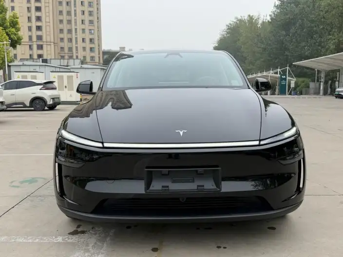 Model Y 2025 Model Long Battery Life Pro All-wheel drive version – фото 2