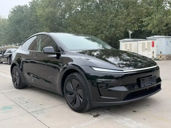 Model Y 2025 Model Long Battery Life Pro All-wheel drive version – фото 3
