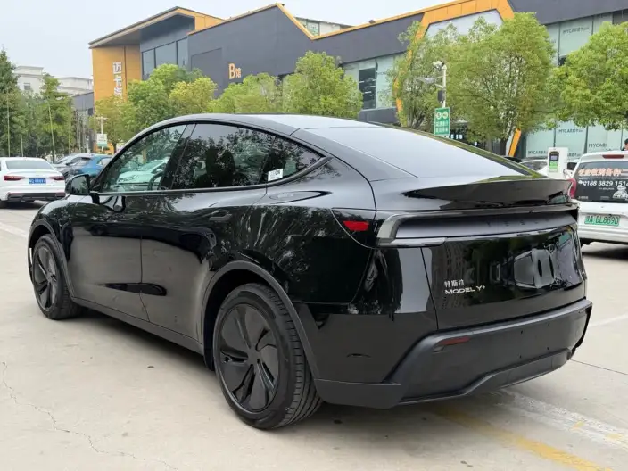 Model Y 2025 Model Long Battery Life Pro All-wheel drive version – фото 4