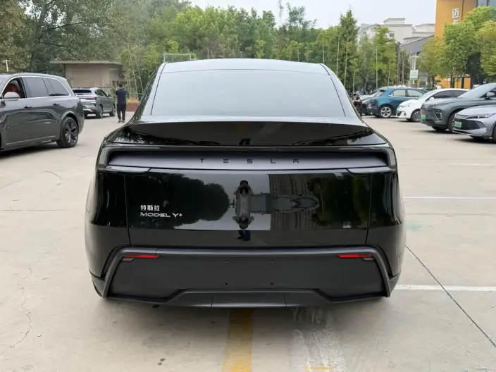 Model Y 2025 Model Long Battery Life Pro All-wheel drive version – фото 5