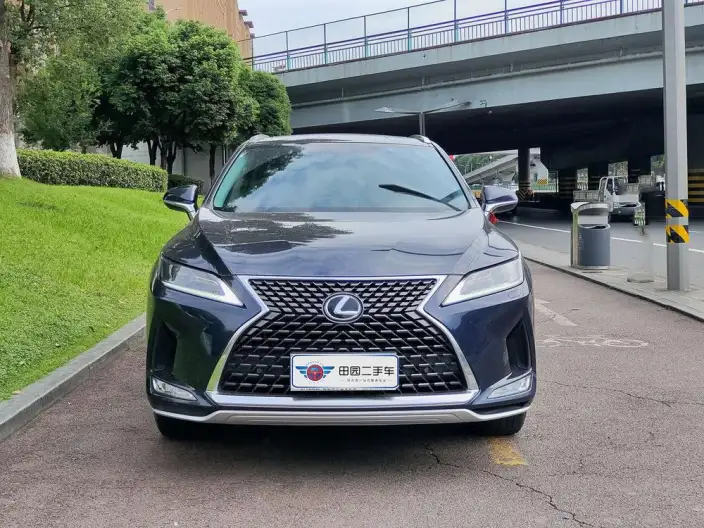 Lexus RX 2020 Model Facelift 300 2WD Elite Edition – фото 2