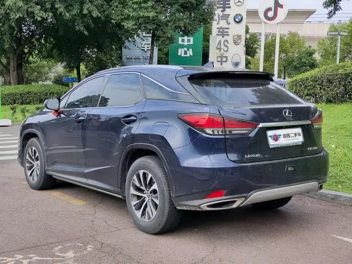 Lexus RX 2020 Model Facelift 300 2WD Elite Edition – фото 4