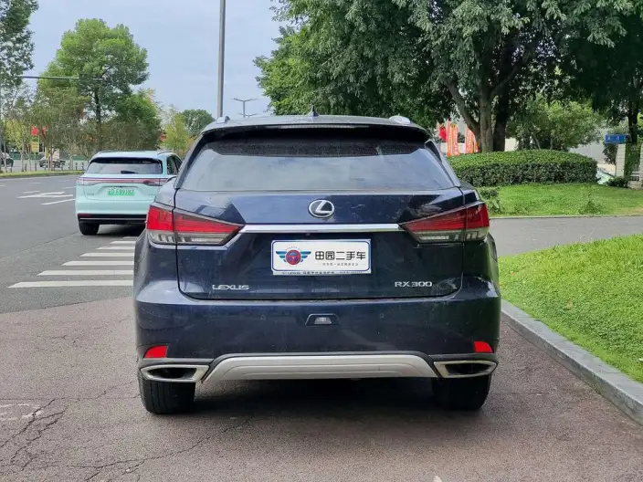 Lexus RX 2020 Model Facelift 300 2WD Elite Edition – фото 5