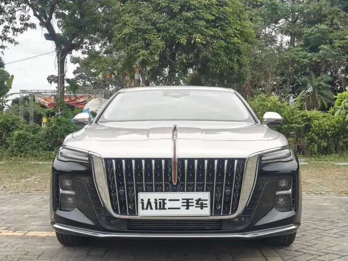 Hongqi H5 2025 Model 2.0T Automatic Flag Enjoy Edition – фото 2