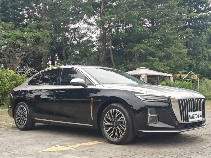 Hongqi H5 2025 Model 2.0T Automatic Flag Enjoy Edition – фото 3