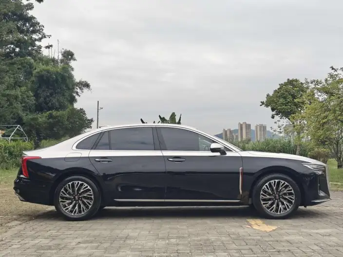 Hongqi H5 2025 Model 2.0T Automatic Flag Enjoy Edition – фото 8