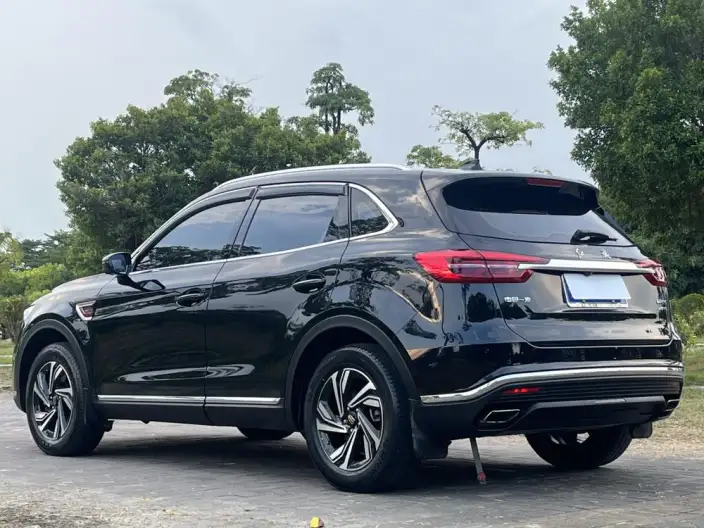 Hongqi HS5 2022 Model 2.0T Smart Flag Enjoy Edition – фото 4