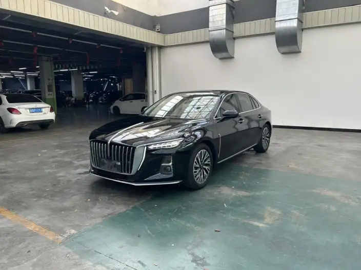 Hongqi H5 2023 Model 2.0T Automatic Flag Lead Edition – фото 1