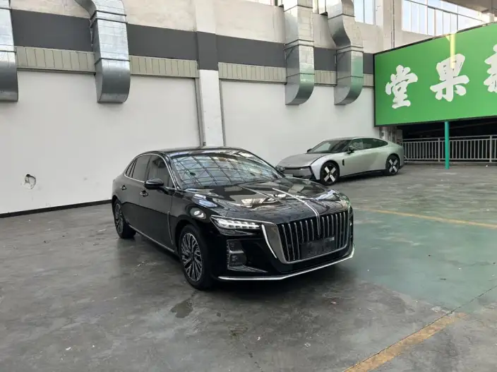 Hongqi H5 2023 Model 2.0T Automatic Flag Lead Edition – фото 3