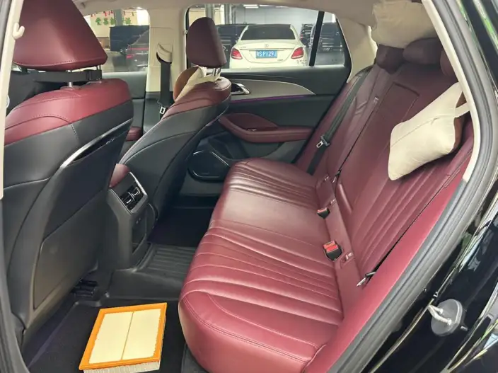 Hongqi H5 2023 Model 2.0T Automatic Flag Lead Edition – фото 9