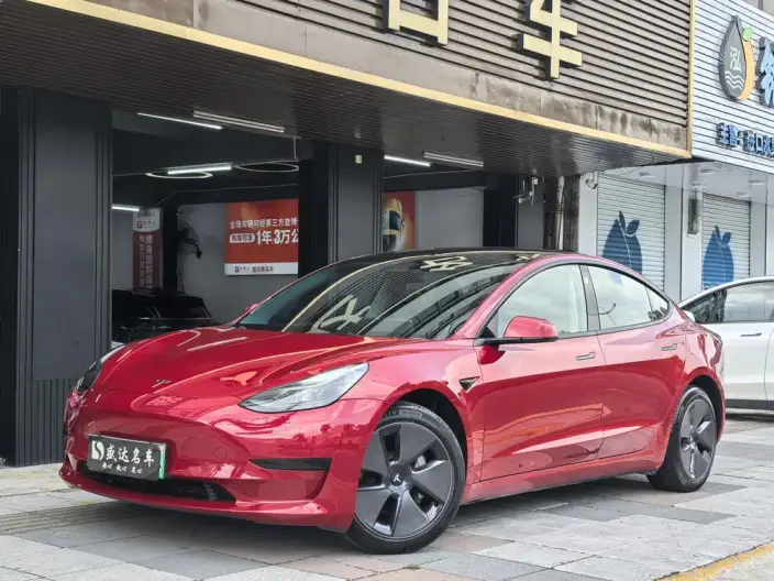 Model 3 2022 Model Rear-wheel drive version – фото 1