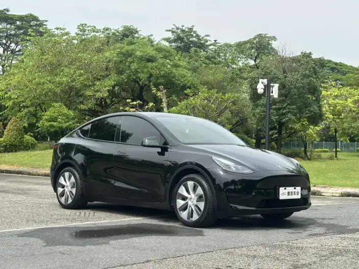 Model Y 2022 Model Facelift Rear-wheel drive version – фото 3