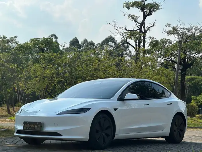 Model 3 2025 Model Rear-wheel drive version – фото 1