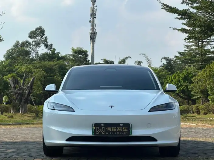 Model 3 2025 Model Rear-wheel drive version – фото 2
