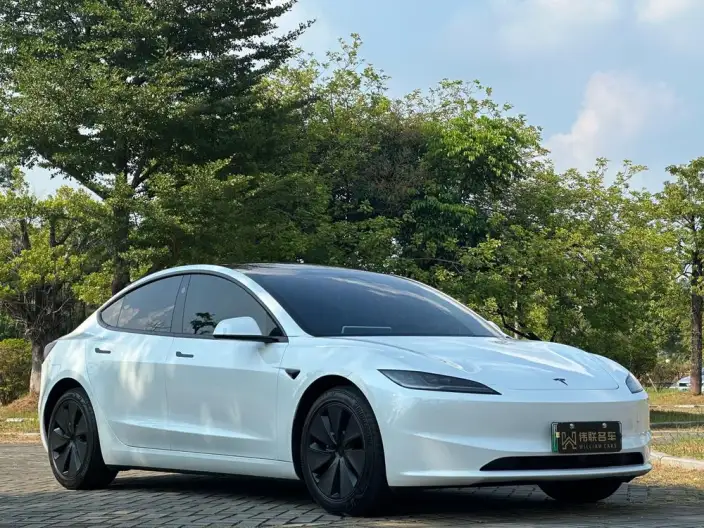 Model 3 2025 Model Rear-wheel drive version – фото 3