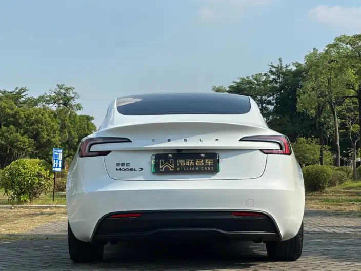 Model 3 2025 Model Rear-wheel drive version – фото 5