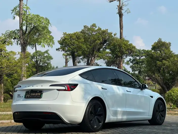Model 3 2025 Model Rear-wheel drive version – фото 6
