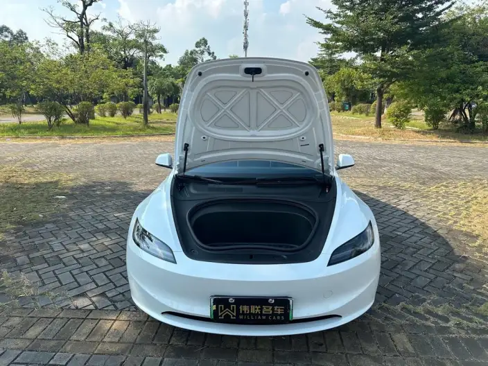 Model 3 2025 Model Rear-wheel drive version – фото 9
