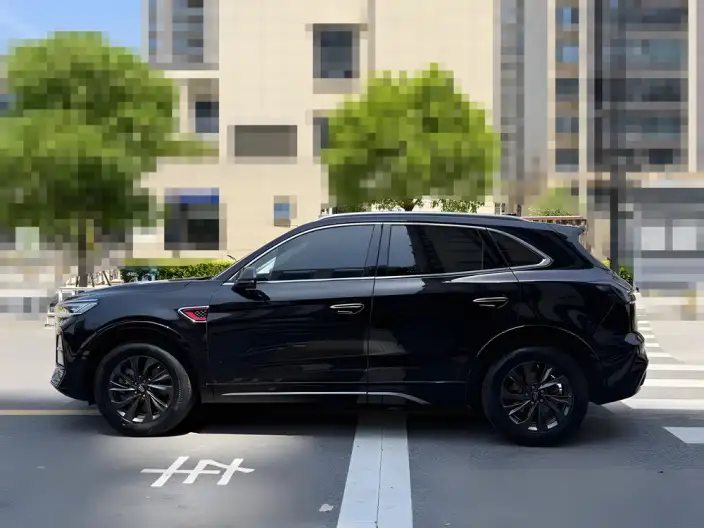 Hongqi HS5 2023 Model 2.0T Flag Xiang Pro Edition