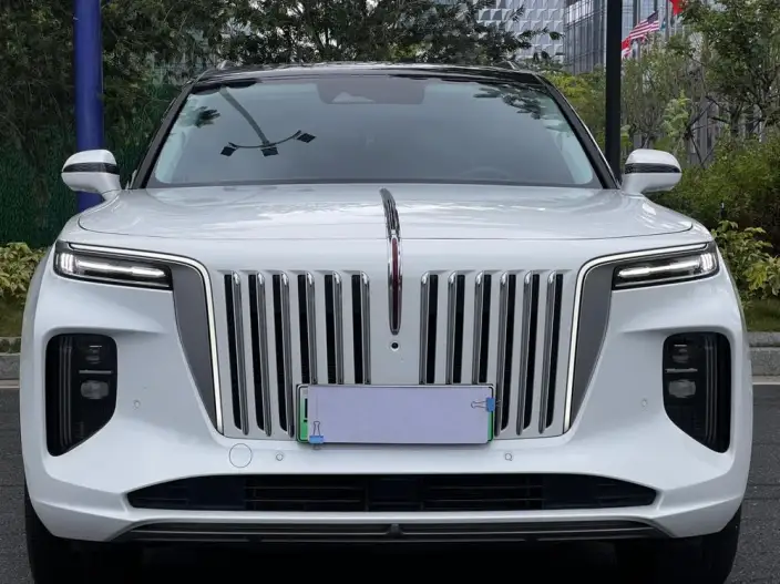HONGQI E-HS9 2022 Model 660km Flag Enjoy Edition VI seat